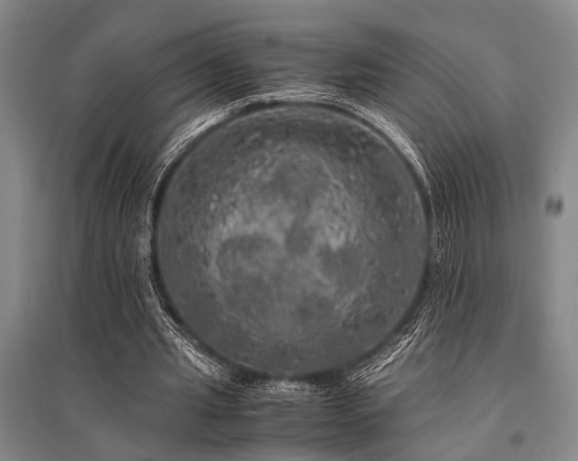 X0000095520437200712141449