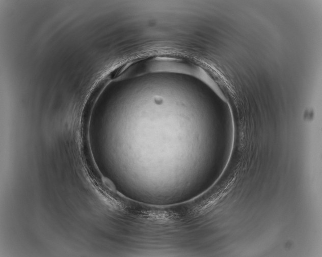 X0000095520439200712141449