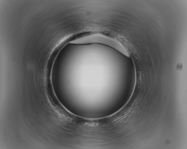 X0000095520440200712141449