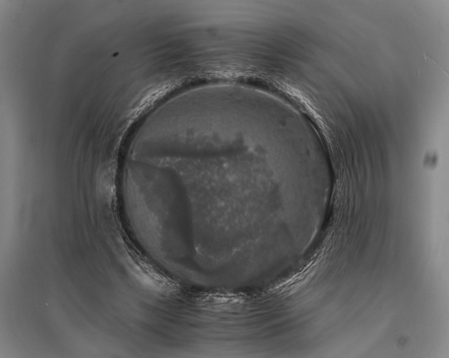 X0000095520443200712141450