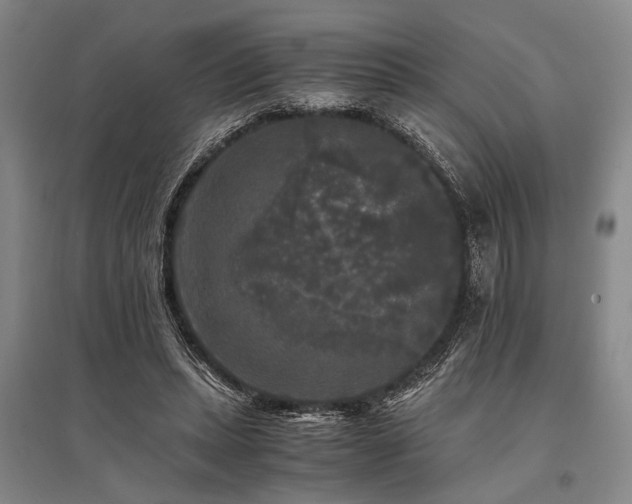 X0000095520447200712141450