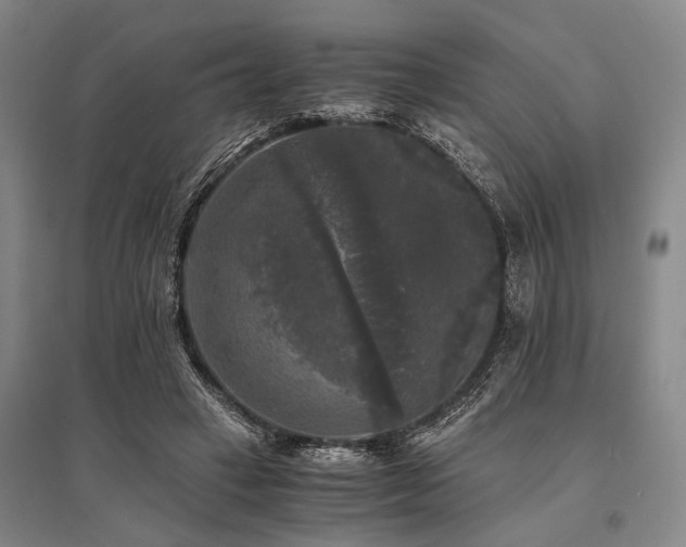 X0000095520449200712141450