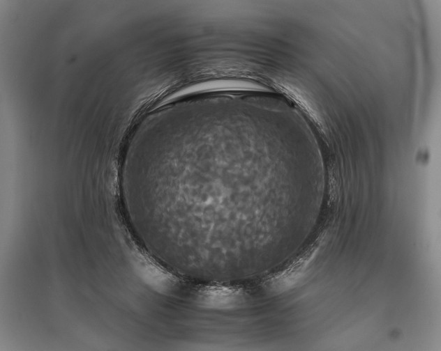 X0000095520453200712141450