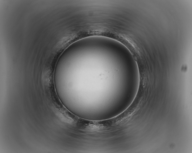 X0000095520455200712141450