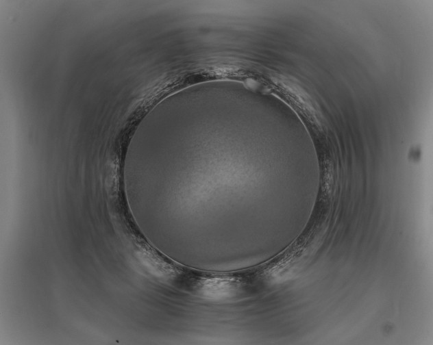 X0000095520461200712141450