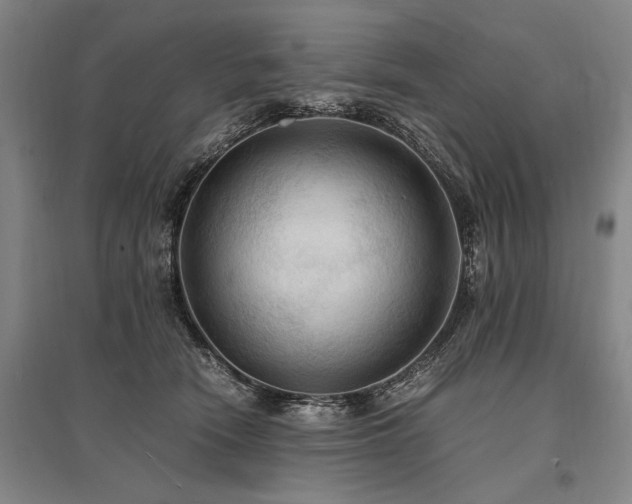 X0000095520466200712141450