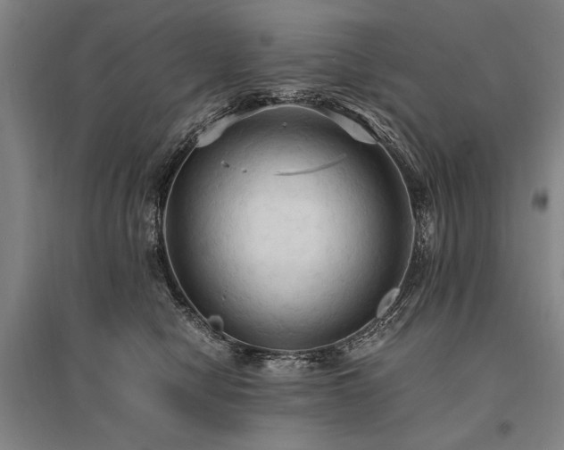 X0000095520470200712141450