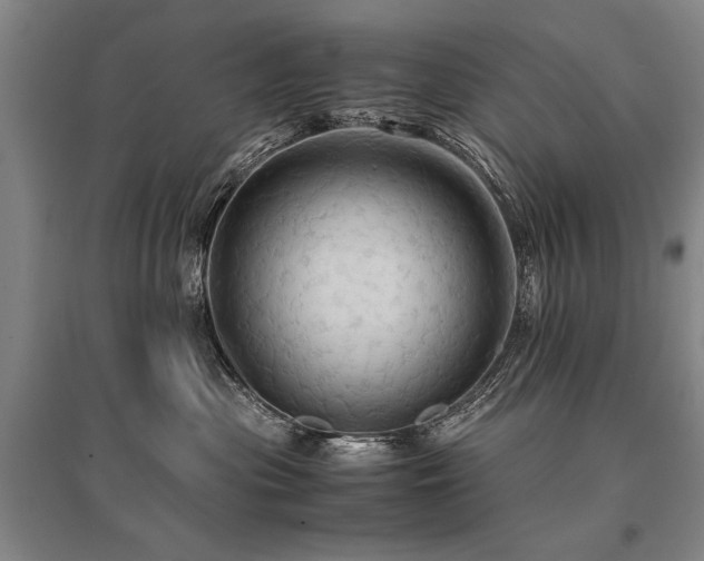 X0000095520477200712141450