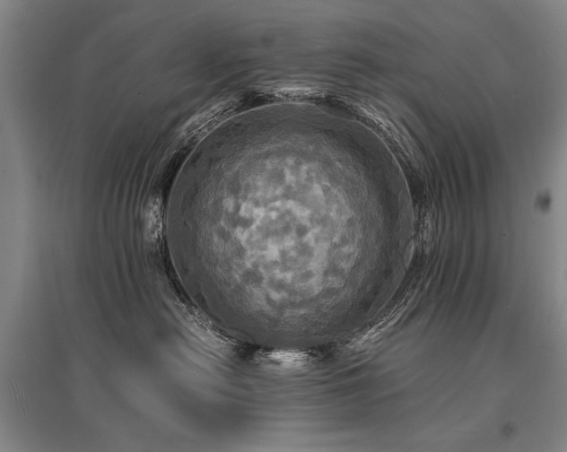 X0000095520478200712141450