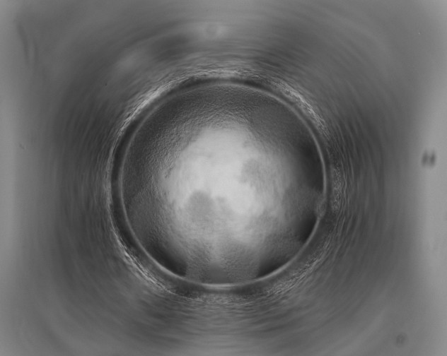 X0000095520482200712141449
