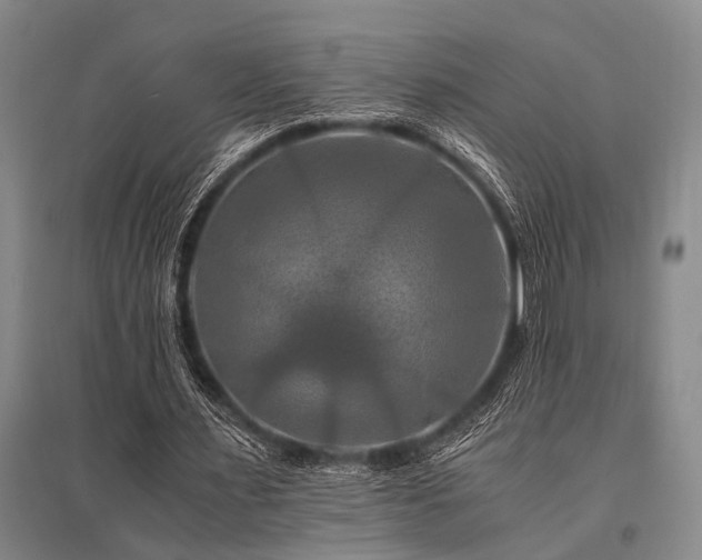 X0000095520483200712141449