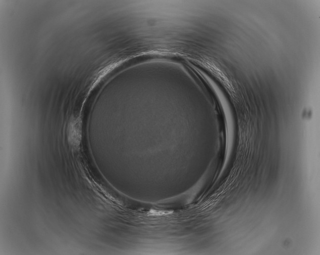 X0000095520484200712141449