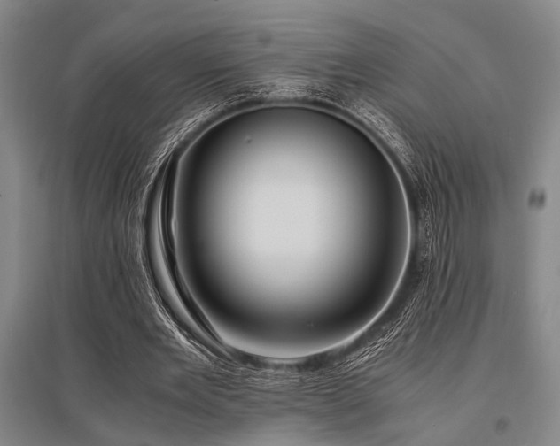 X0000095520485200712141449