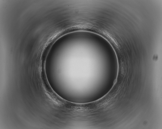 X0000095520486200712141449