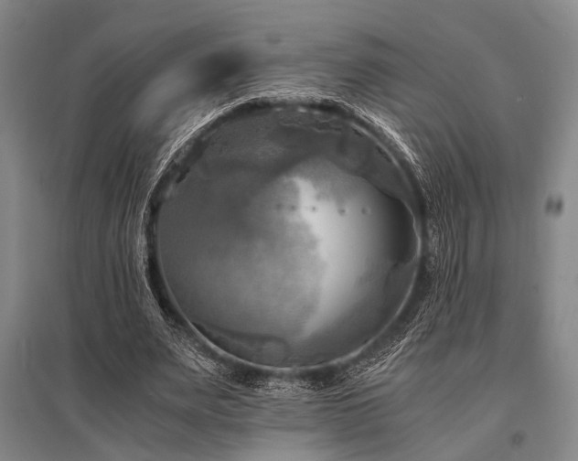 X0000095520487200712141449