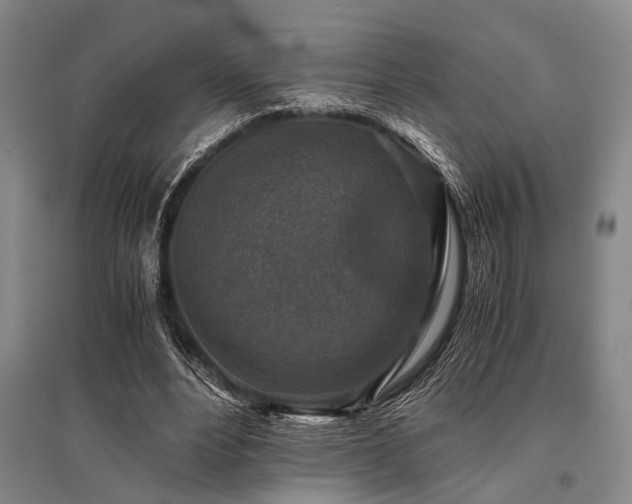 X0000095520488200712141449