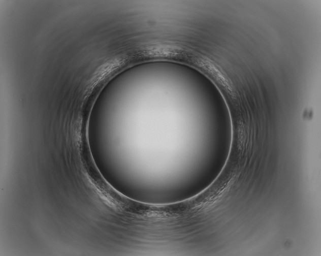 X0000095520490200712141449
