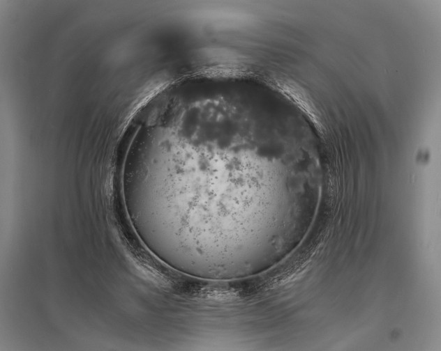 X0000095520491200712141449