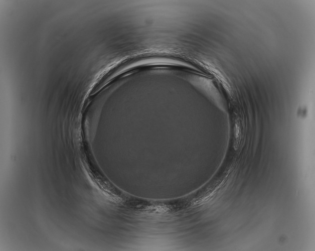 X0000095520492200712141449