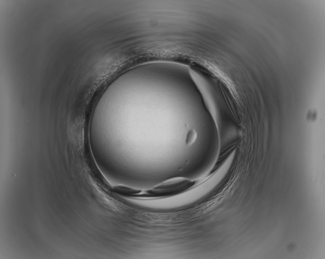 X0000095520493200712141449