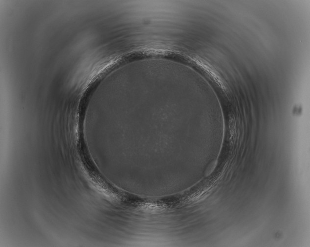 X0000095520494200712141449