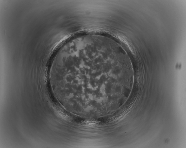 X0000095520495200712141449