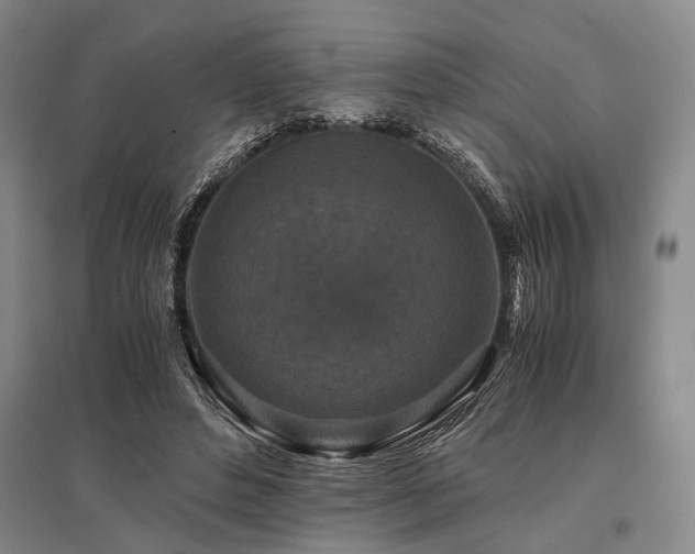 X0000095520496200712141449