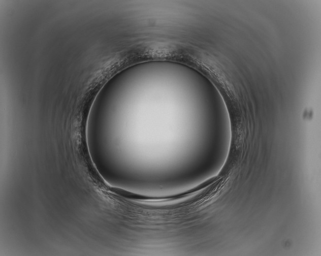 X0000095520497200712141449