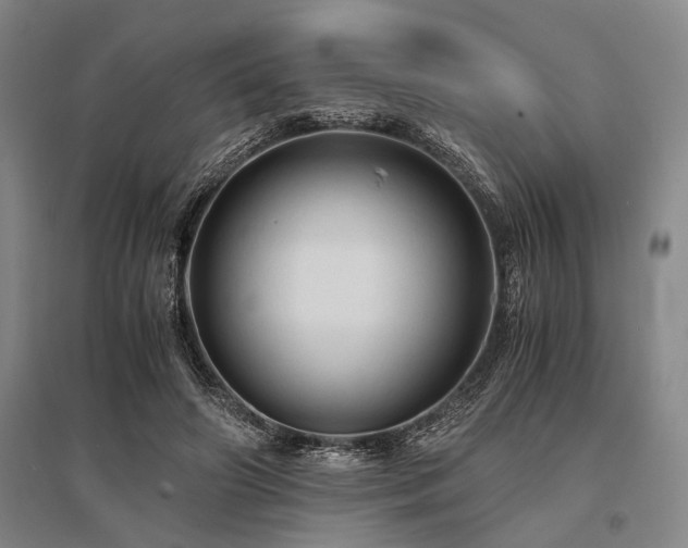 X0000095520498200712141449