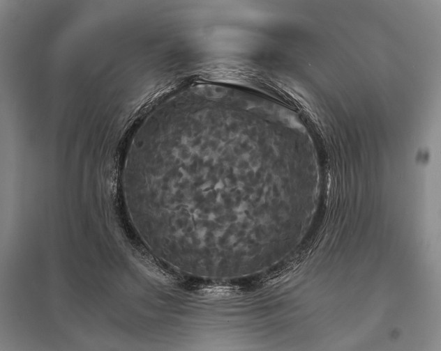 X0000095520499200712141449