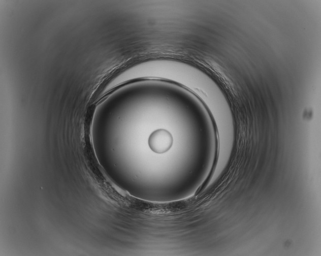 X0000095520500200712141449
