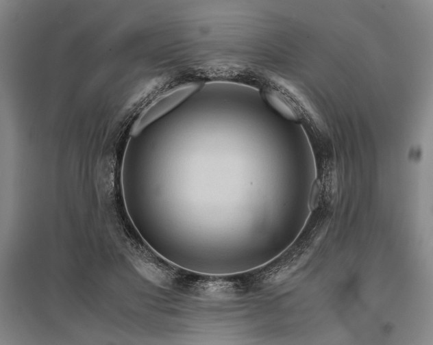X0000095520501200712141449