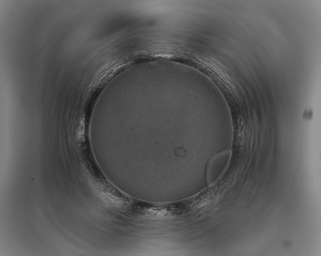 X0000095520502200712141449