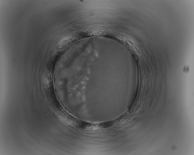 X0000095520503200712141449