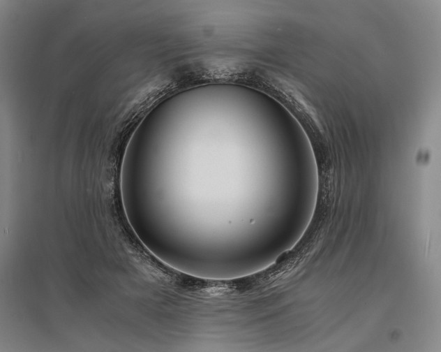 X0000095520505200712141449