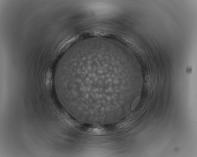 X0000095520506200712141449