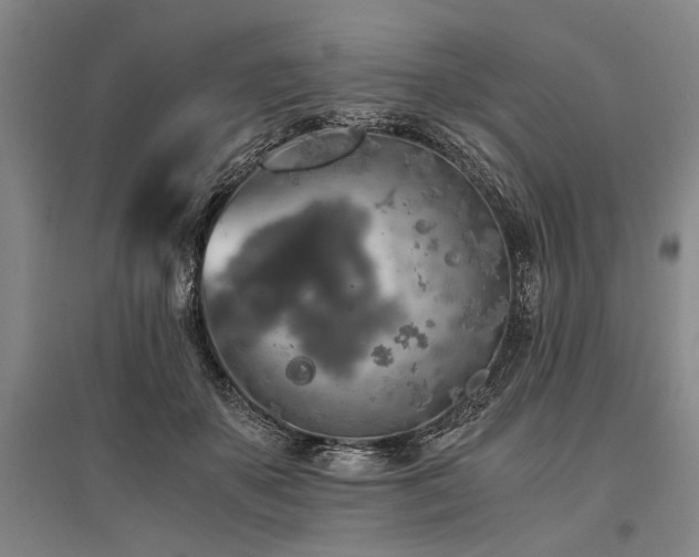X0000095520507200712141449