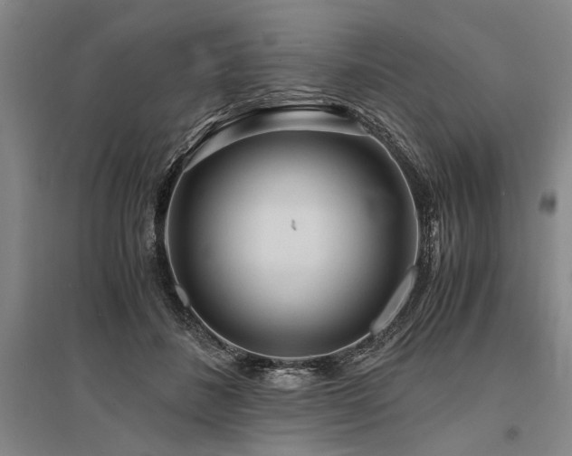 X0000095520508200712141449