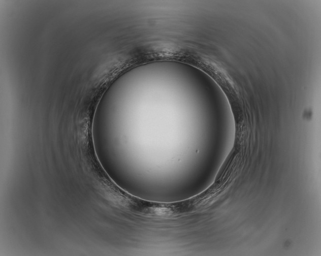 X0000095520509200712141449