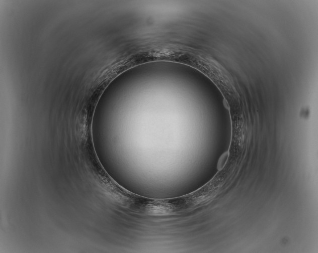 X0000095520510200712141449