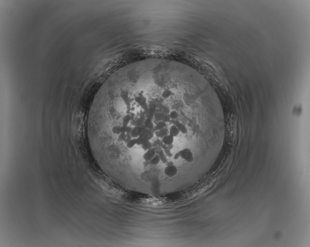 X0000095520511200712141449