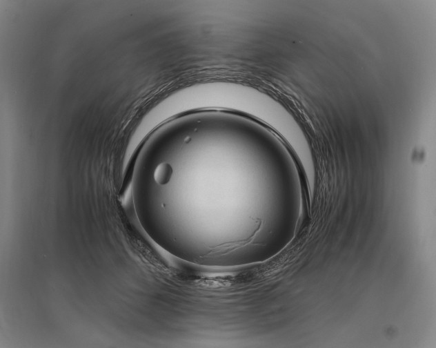 X0000095520512200712141449