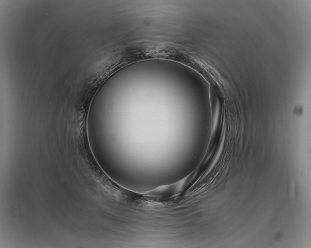 X0000095520513200712141449