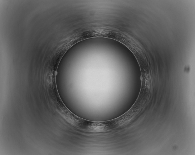 X0000095520514200712141449