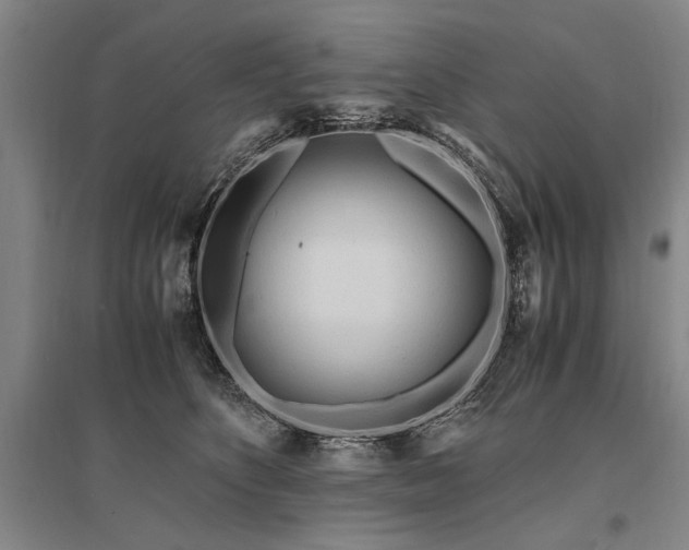 X0000095520516200712141449