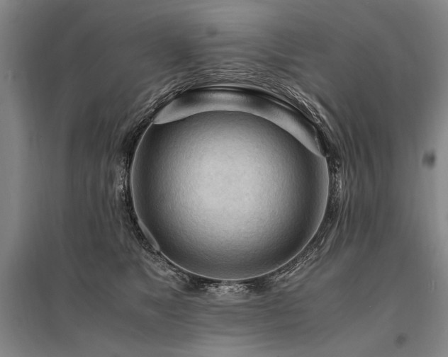 X0000095520517200712141449