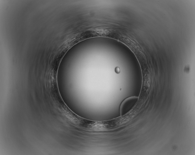 X0000095520518200712141449