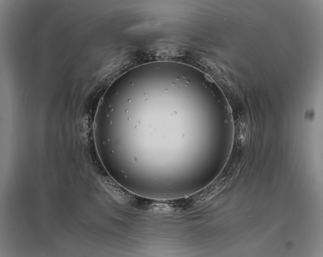 X0000095520519200712141449