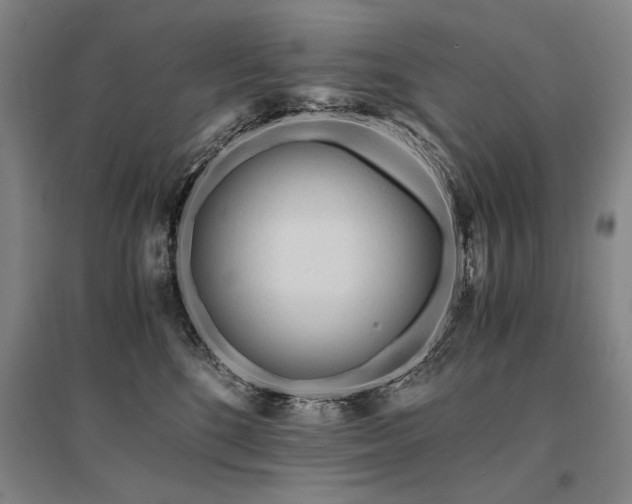 X0000095520520200712141449