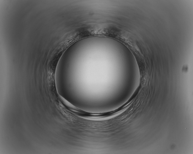 X0000095520521200712141449